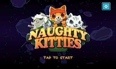 game pic for Naughty Kitties